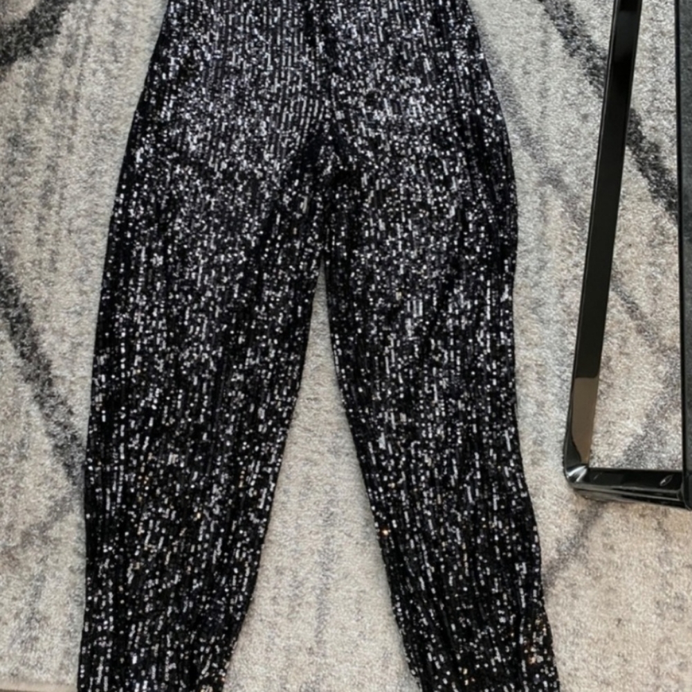 Zara sequin pants.
